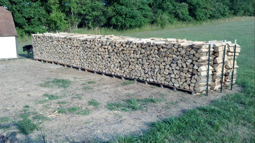 How Long Does Firewood Take to Dry?