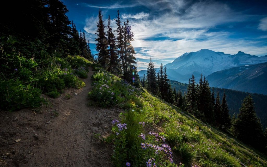 Can You Hunt on Sunday in West Virginia?