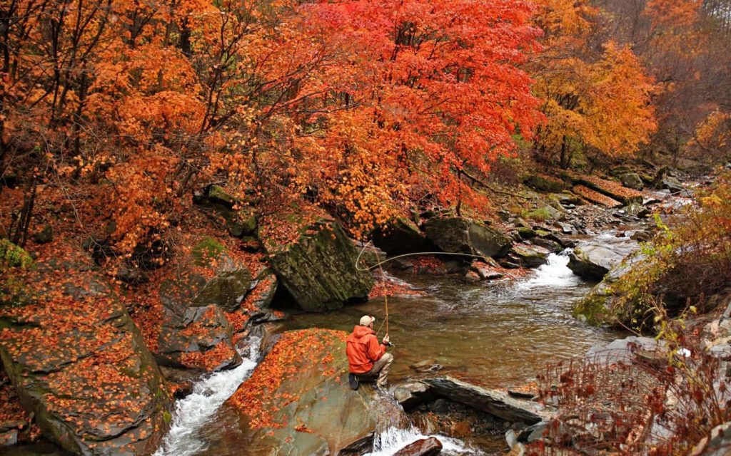 Does West Virginia Stock Trout in the Fall?
