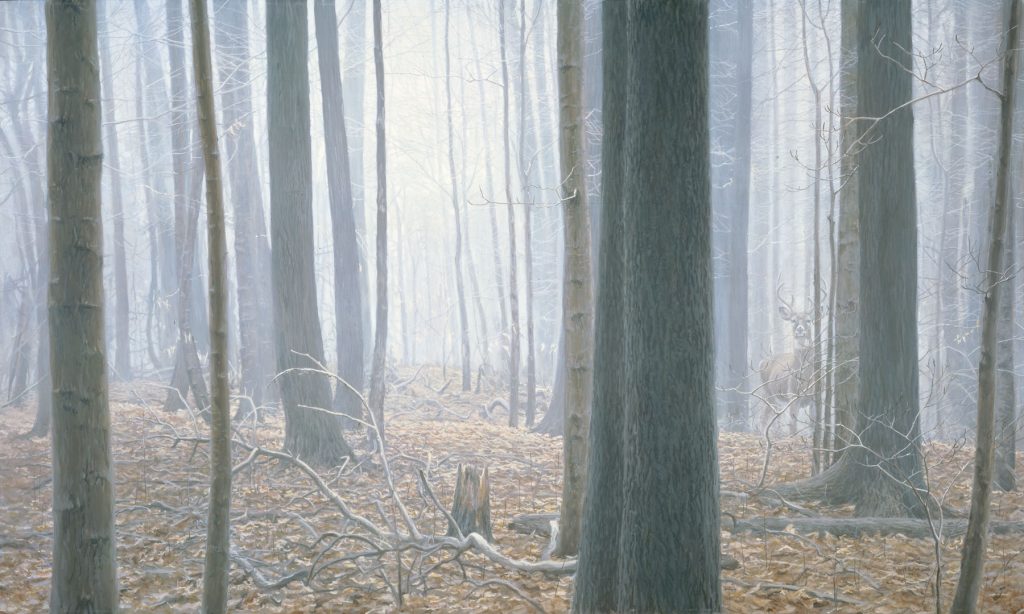 West Virginia Deer Season: When It Opens