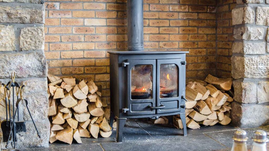 Can You Burn Tree of Heaven as Firewood?