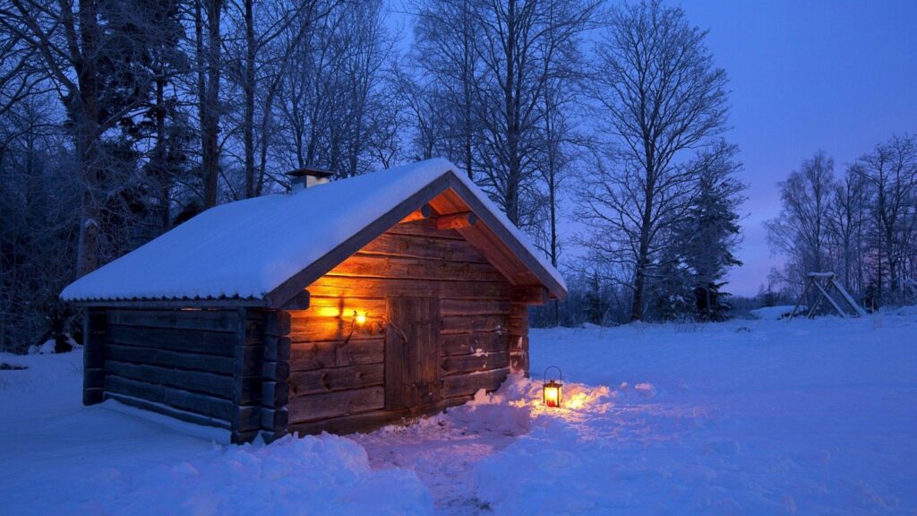 Ways to Keep Mice Out of a Cabin in Winter